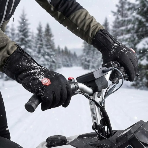 Frost Flex – Thermal Heated Gloves for Winter (Unisex)